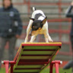 Meet your Posher, Lee